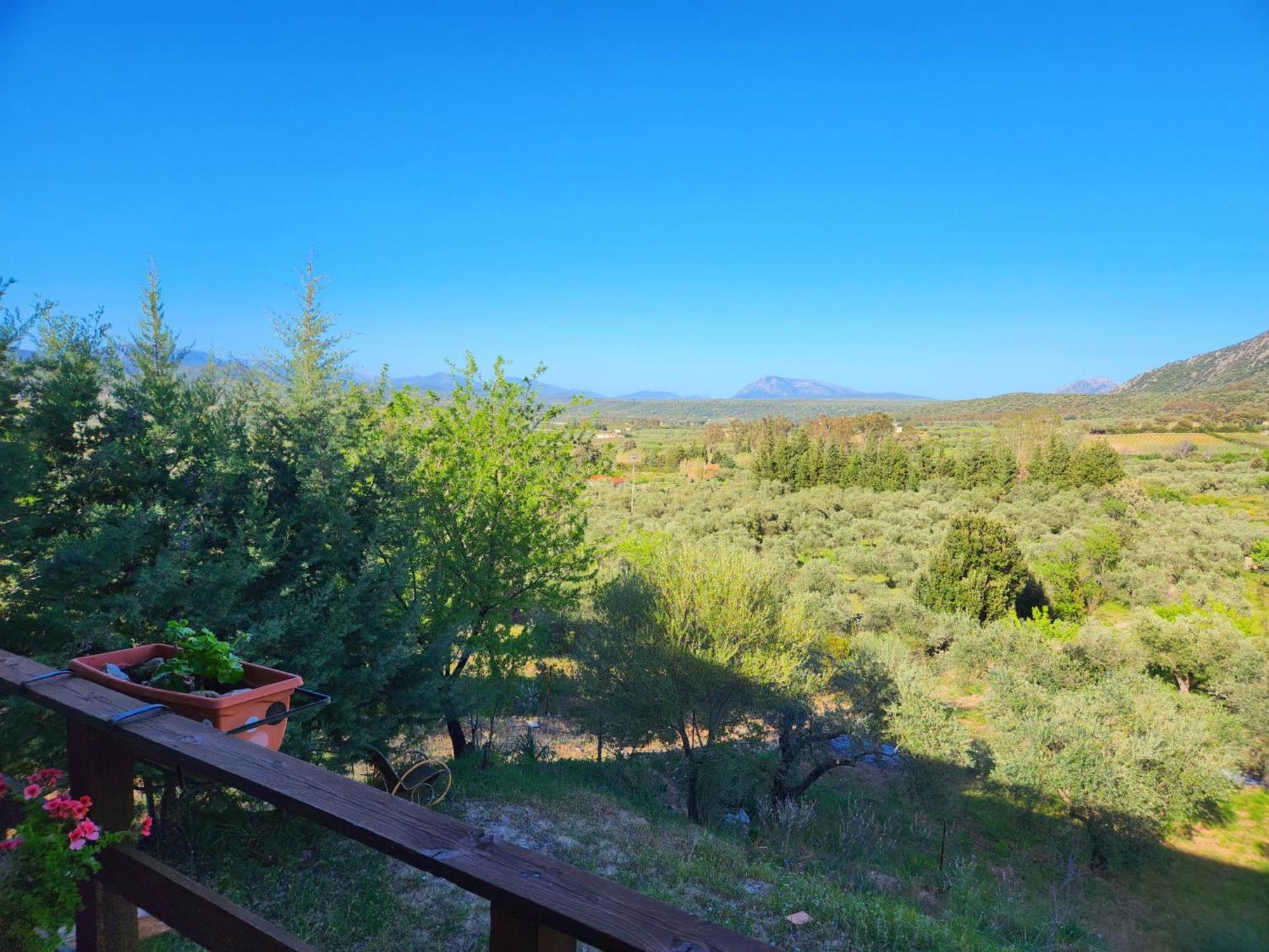 Panoramic House Villa Oliena Buitenkant foto