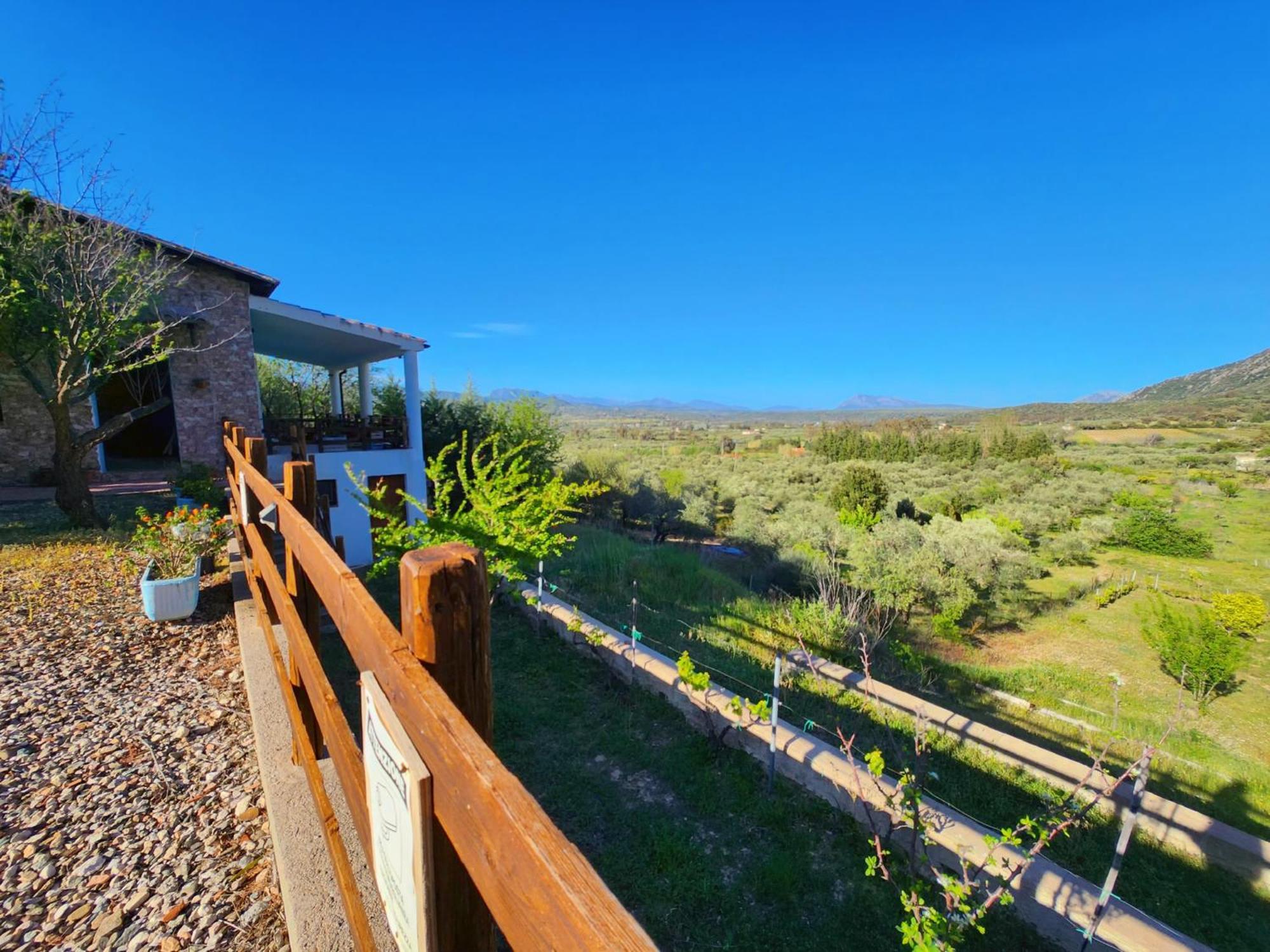 Panoramic House Villa Oliena Buitenkant foto