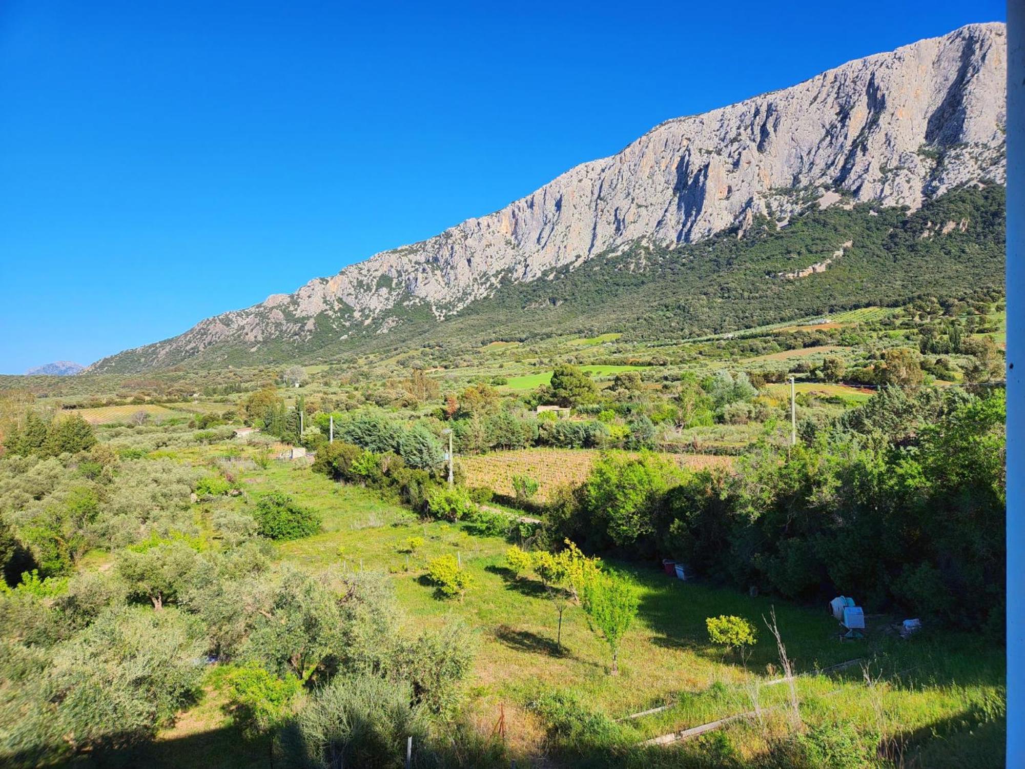 Panoramic House Villa Oliena Buitenkant foto