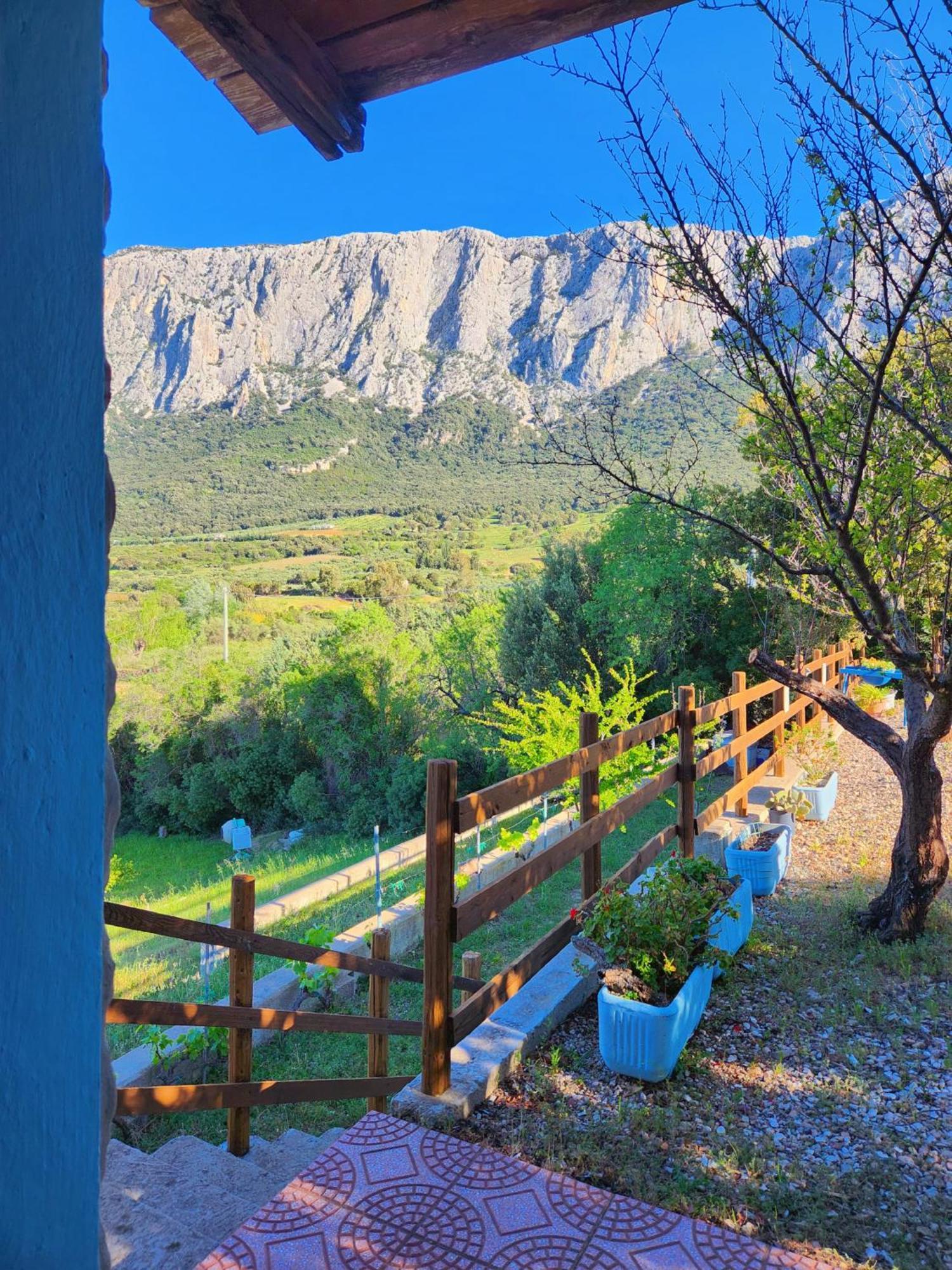 Panoramic House Villa Oliena Buitenkant foto